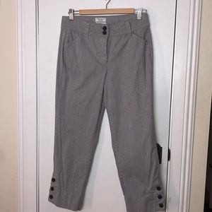 Charter Club pant shop classic fit size 8